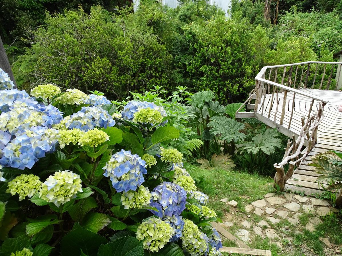 فندق نيبلافي  Cabanas Las Hortensias المظهر الخارجي الصورة
